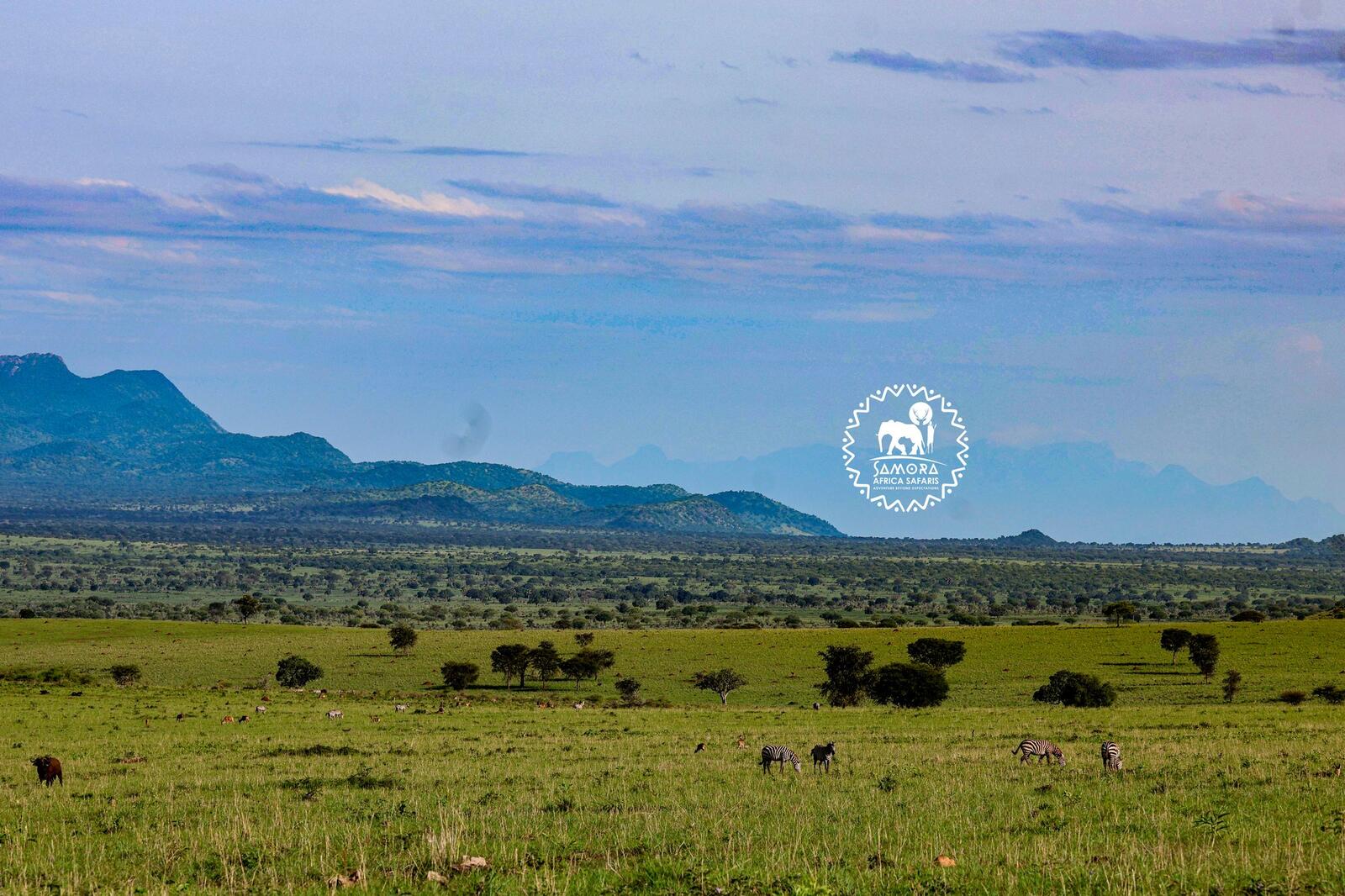 Kidepo Valley National Park