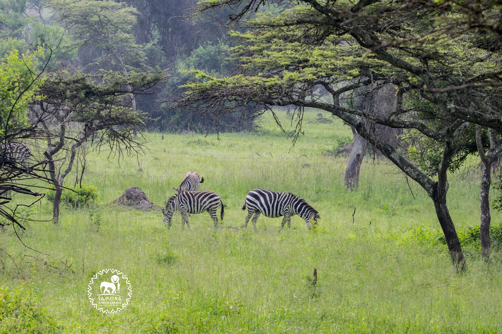Lake Mburo National Park